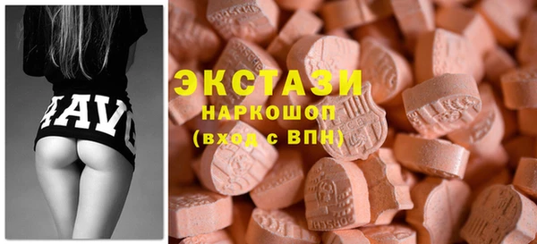 индика Коряжма