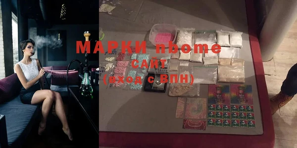 стаф Корсаков