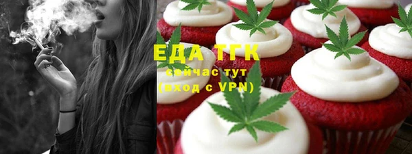 индика Коряжма