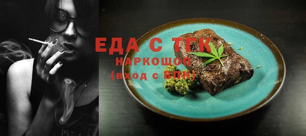индика Коряжма