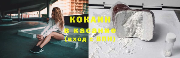 стаф Корсаков