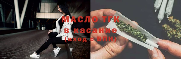 индика Коряжма