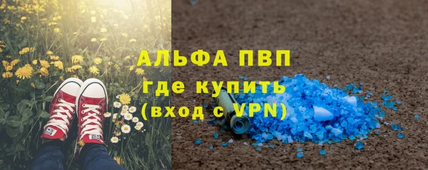 стаф Корсаков