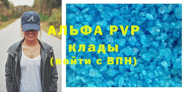 стаф Корсаков