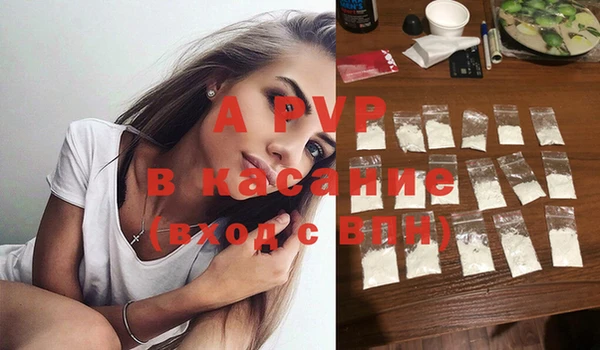 стаф Корсаков