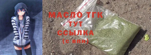 индика Коряжма