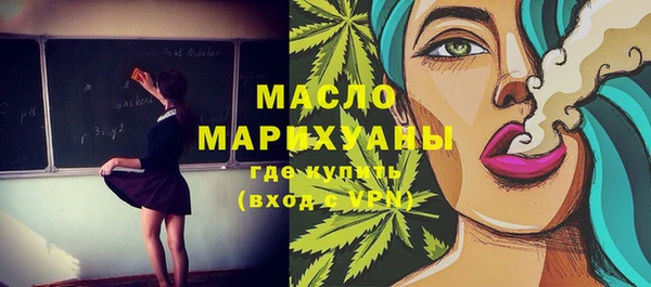 индика Коряжма