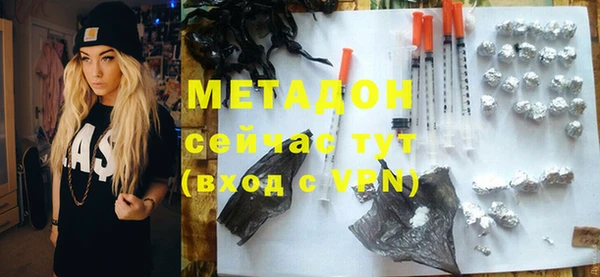 стаф Корсаков