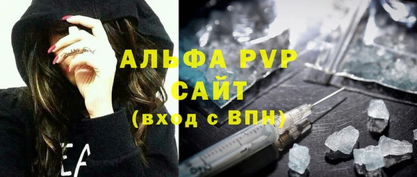 индика Коряжма