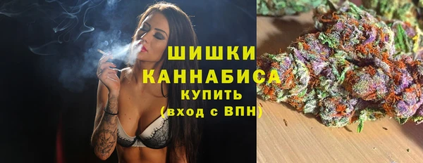 индика Коряжма