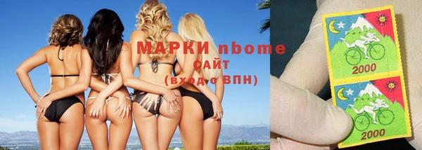 стаф Корсаков